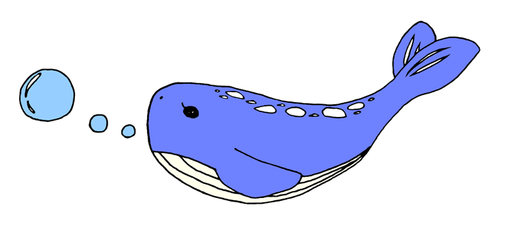 whale_2056